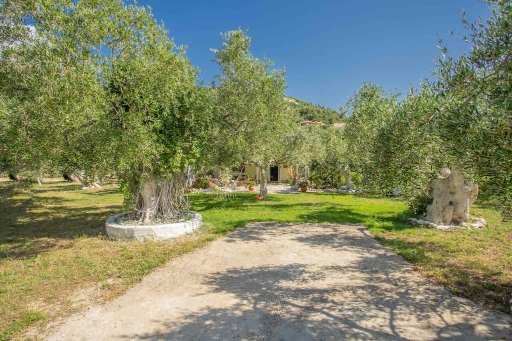 Anthia Private Studio A Breath Away From Beaches Áyios Nikítas Zewnętrze zdjęcie